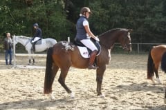 liesbet