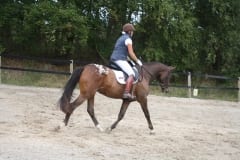 liesbet(2)