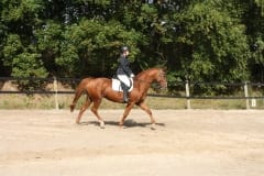 marieke(3)